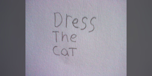 Cover image for dress the cat
