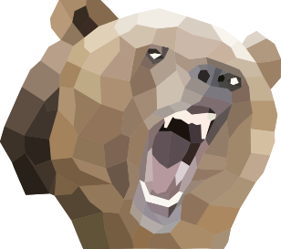 Cover image for Baer