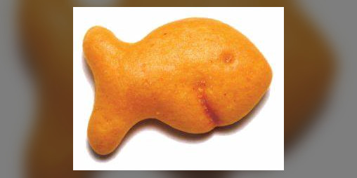 Cover image for Fish Fighter