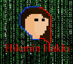 Cover image for Hilemin Hakkı
