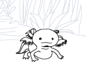 Cover image for Fish Therapy