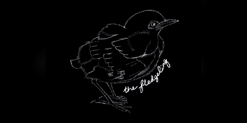 Cover image for The Fledgeling