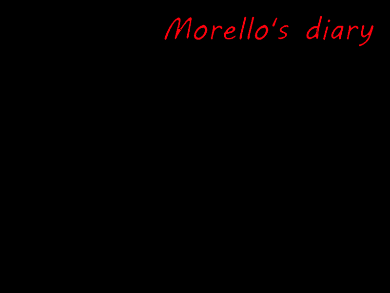 Cover image for Morello's Diary