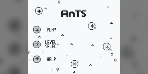 Cover image for Ants