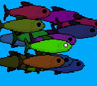 Hungry Fish