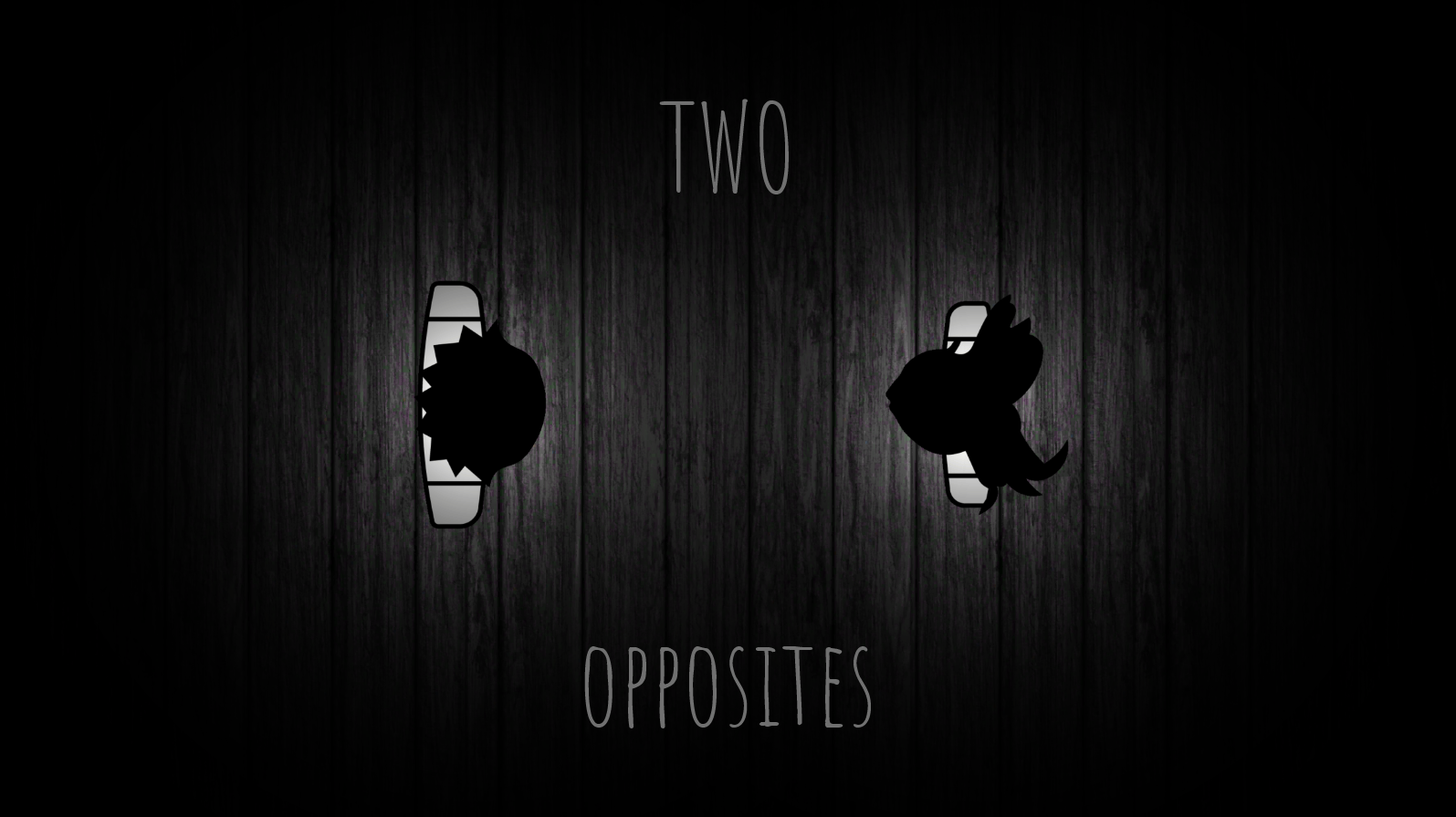 Cover image for Two Opposites