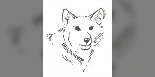 Cover image for Lupis, A Gothic Horror Werewolf RPG