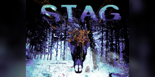 Cover image for STAG (Sound Novel)