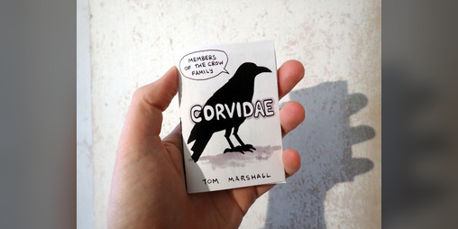 Cover image for Corvidae