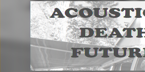 Cover image for Acoustic Death Future