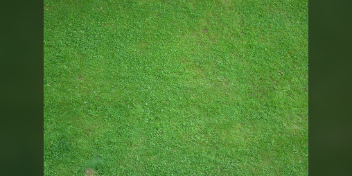 Cover image for Touch some Grass