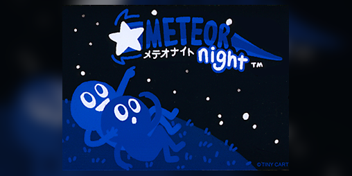 Cover image for Meteor Night