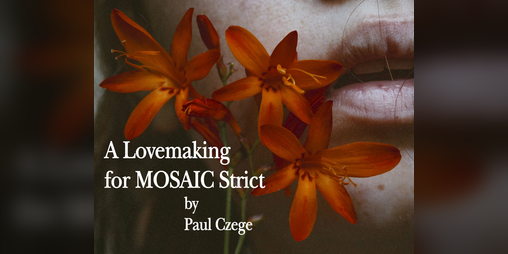 Cover image for A Lovemaking for MOSAIC Strict