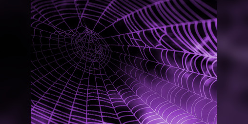 Cover image for Arachnid
