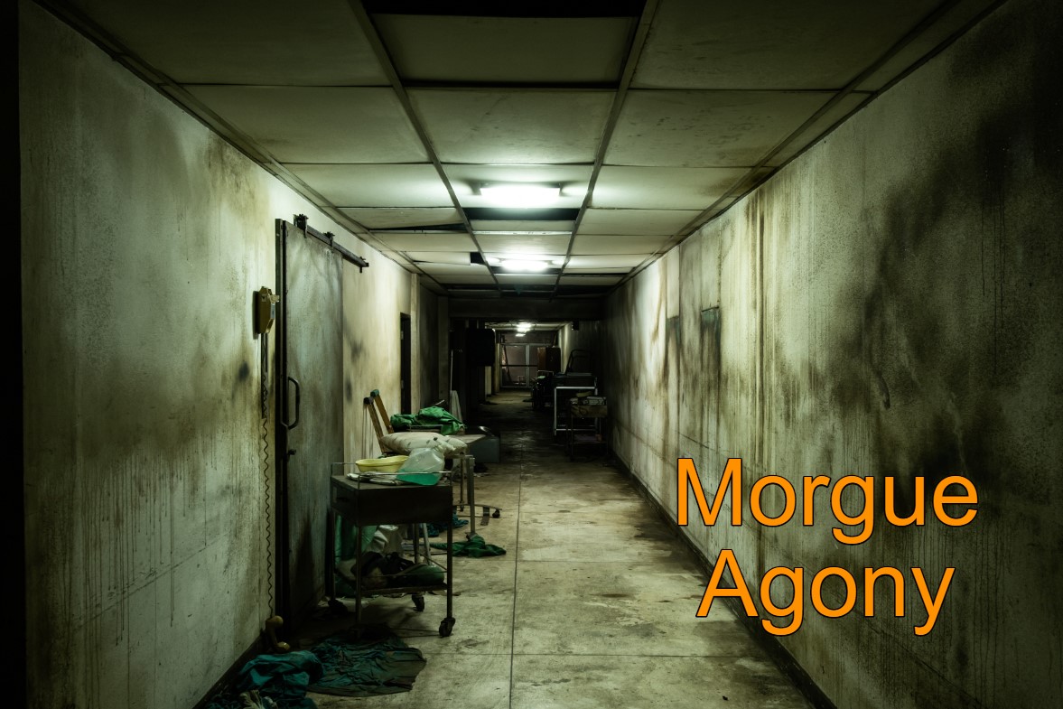 Morgue Agony (VR)