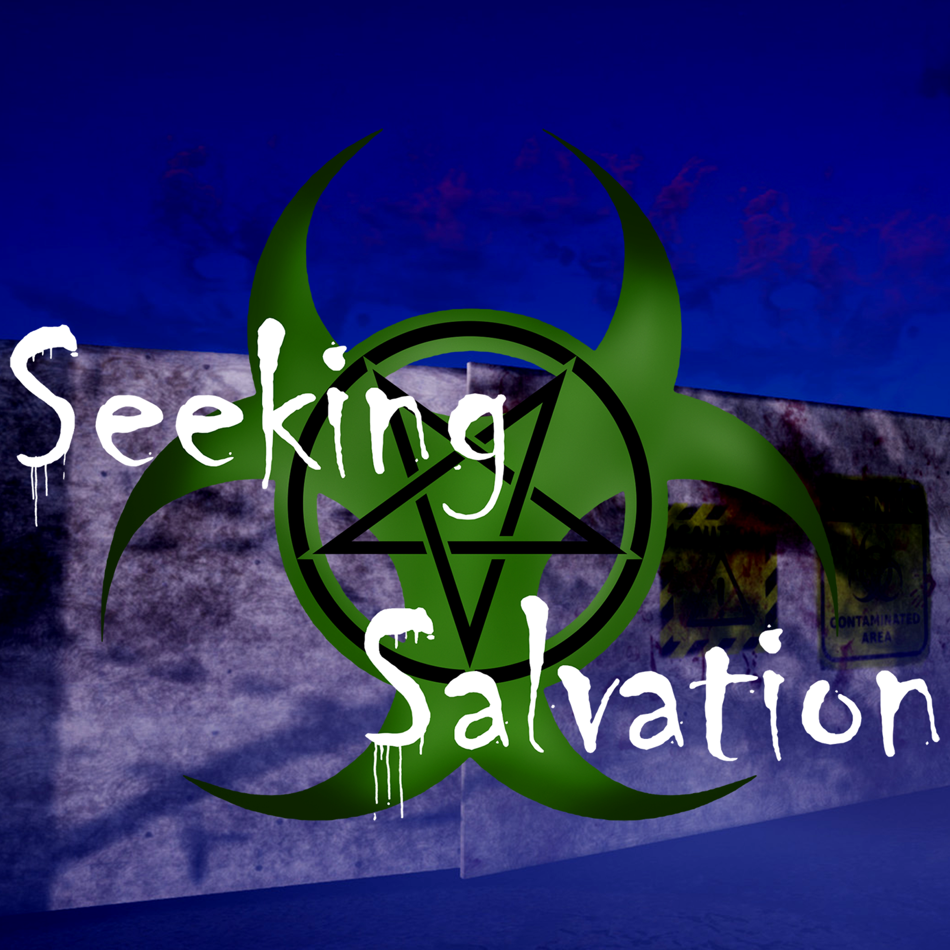 Cover image for Seeking Salvation
