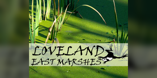 Cover image for LOVELAND: East Marshes