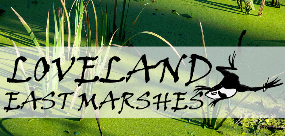 LOVELAND: East Marshes