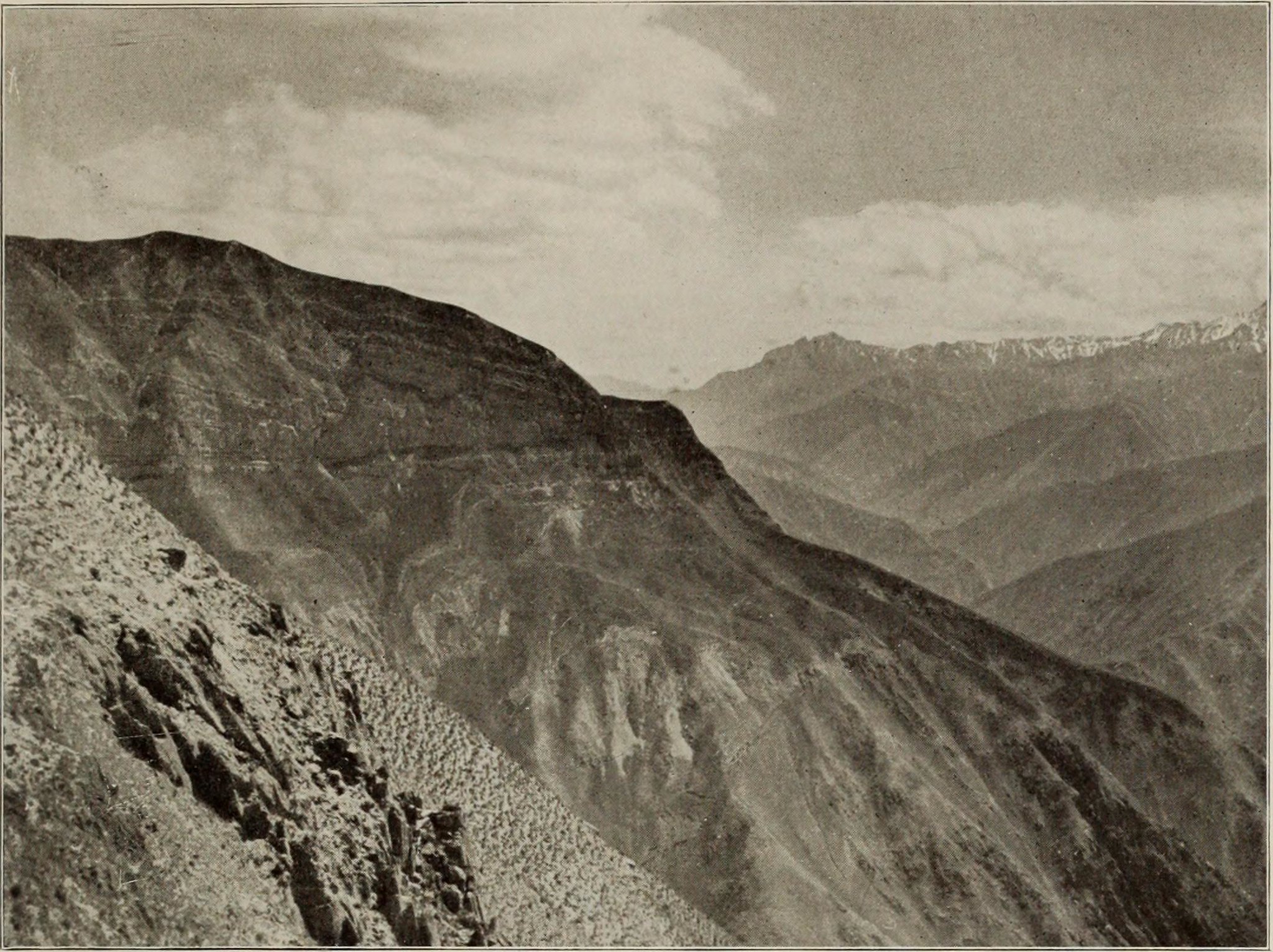 Cover image for Gobi