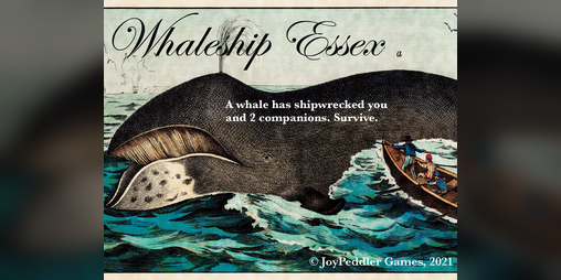 Cover image for Whaleship Essex