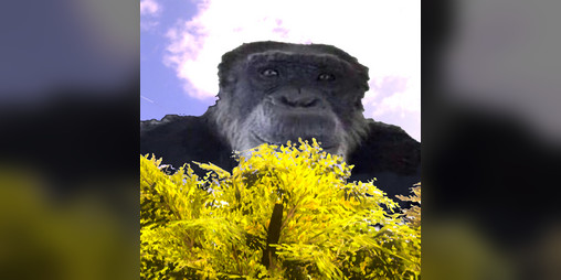 Cover image for Monke: Monke