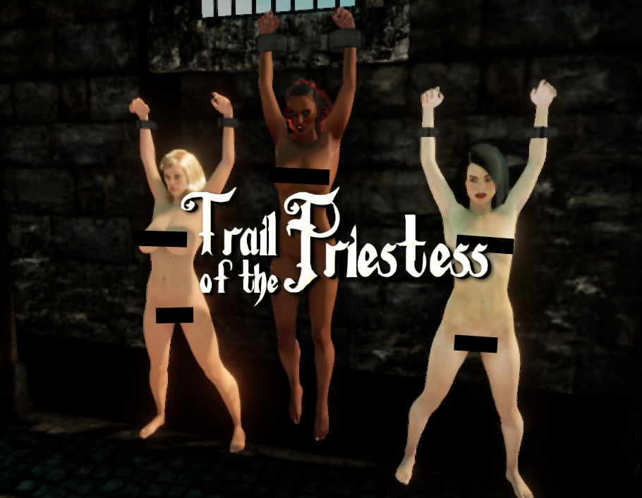 Cover image for Trail of the Priestess