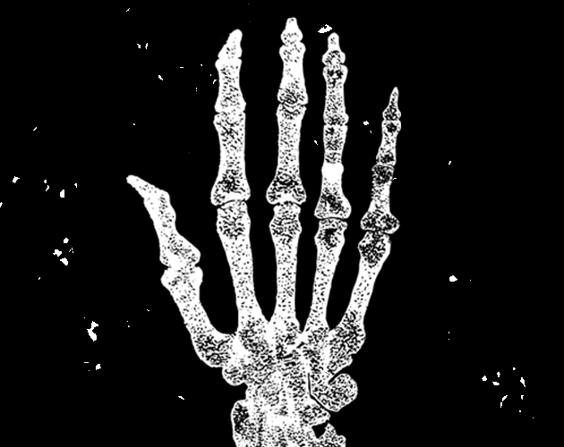 Cover image for Grave Matters