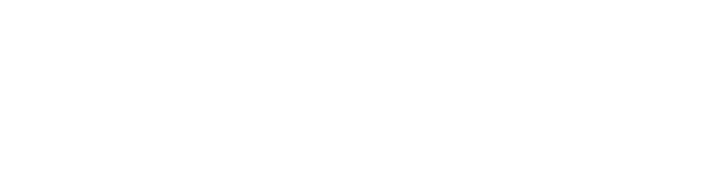 Boxy Boxer