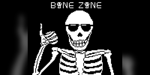 Cover image for Welcome to the BONE ZONE