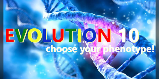 Cover image for Evolution 10 by Marco Spedaletti