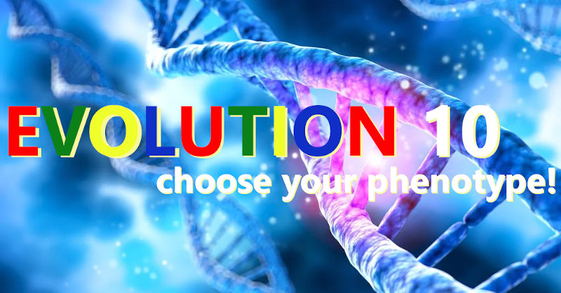 Evolution 10 by Marco Spedaletti