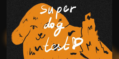 Cover image for Super Dog Test