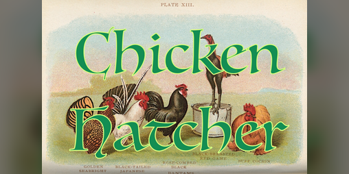 Cover image for Chicken Hatcher