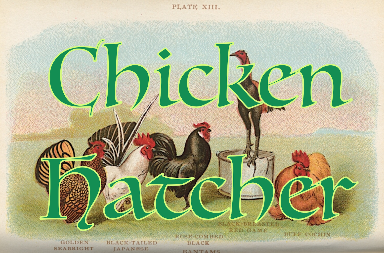 Chicken Hatcher
