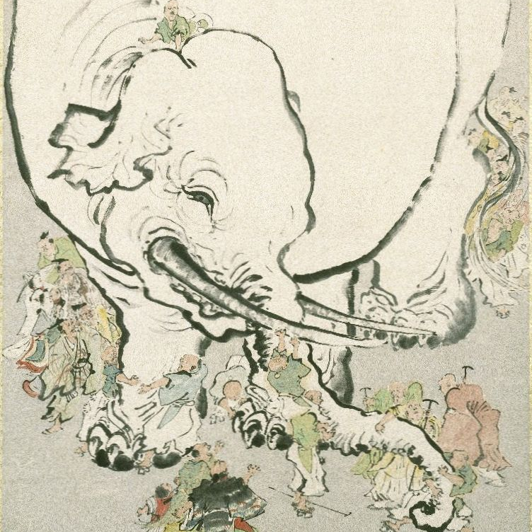 Cover image for Escape the Elephant in the Room