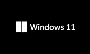 Windows11