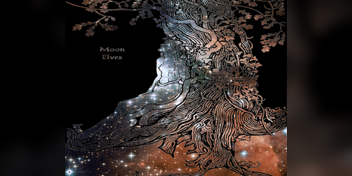 Cover image for Moon Elves