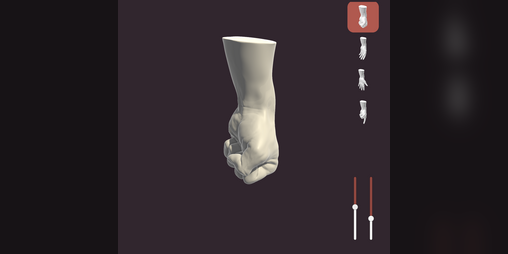 Cover image for Hand viewer