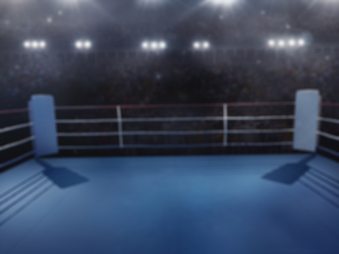 Cover image for The Champ's Curtain Call