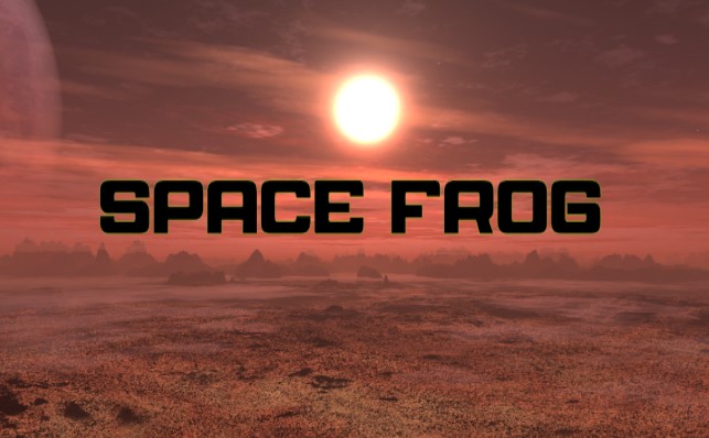 Cover image for Space Frog