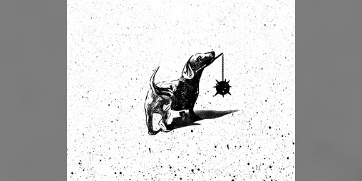 Cover image for DOGO and DREAM