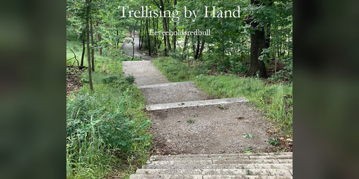 Cover image for Trellising by Hand