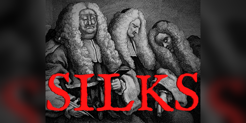 Cover image for Silks