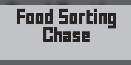 Cover image for Food Sorting Chase
