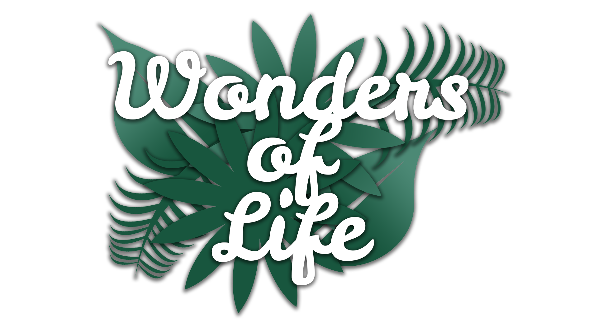Wonders of Life