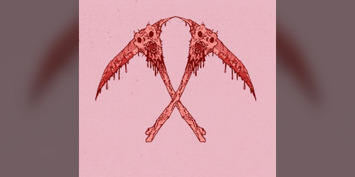 Cover image for THE WOUND WIZARDS