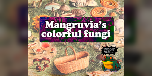 Cover image for Mangruvia's colorful fungi