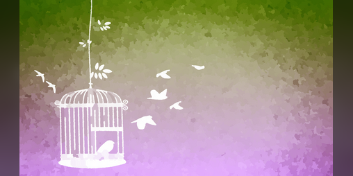 Cover image for Elery To A Songbird