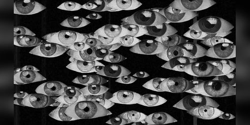 Cover image for Recluse