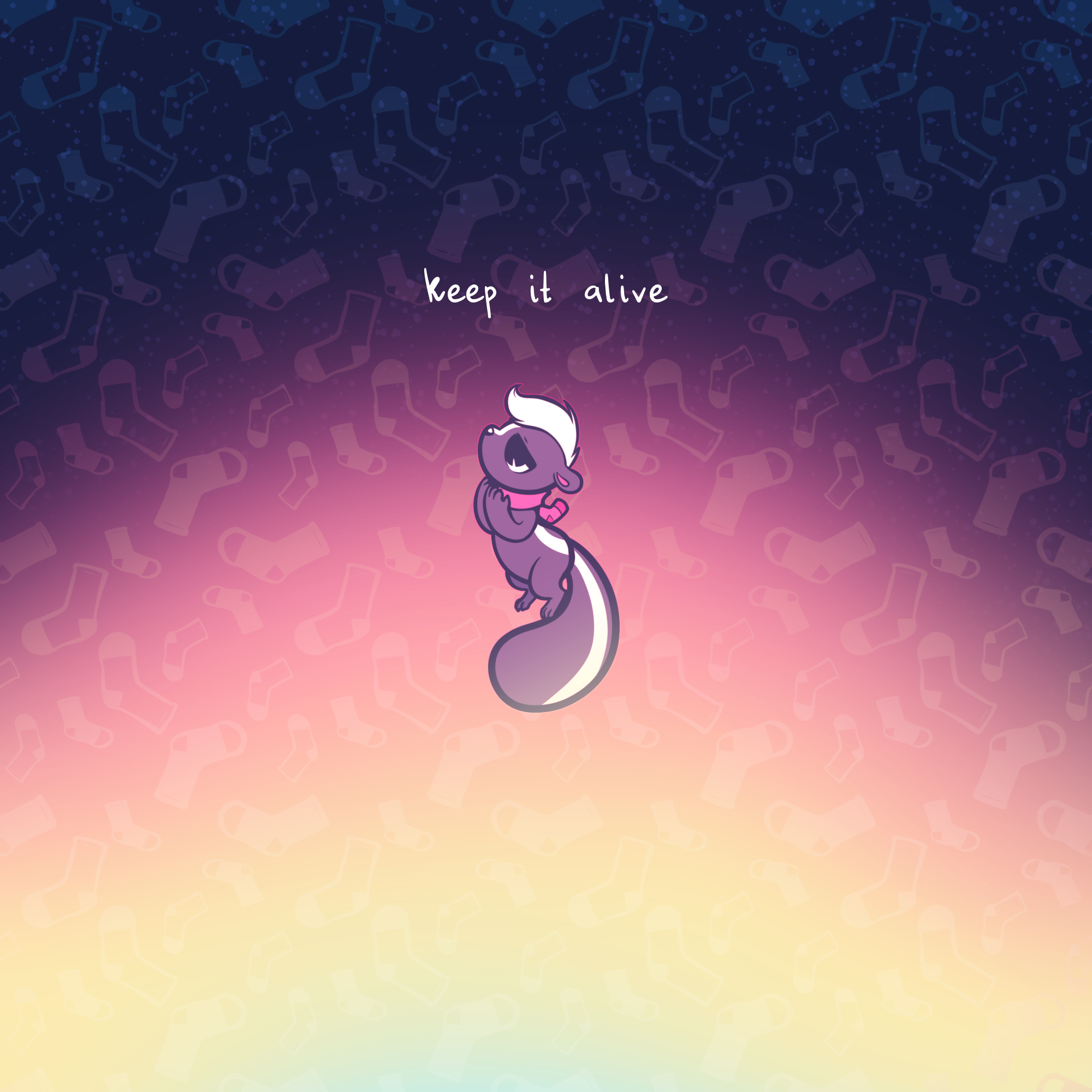Cover image for Socks